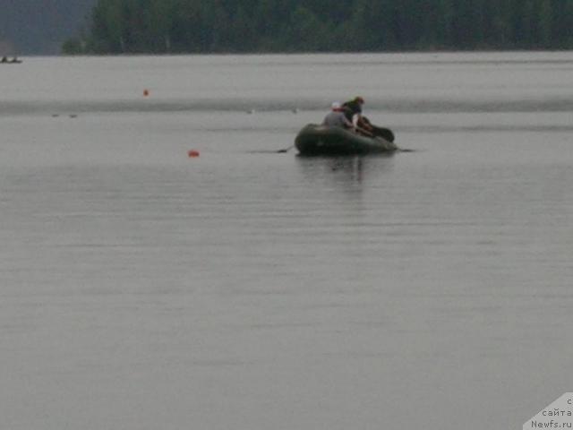 Фото: ньюфаундленд Atlant Byest (Атлант Бэст), Varvara Ryibalova (Варвара Рыбалова)