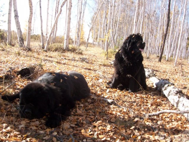 Фотография № 49844