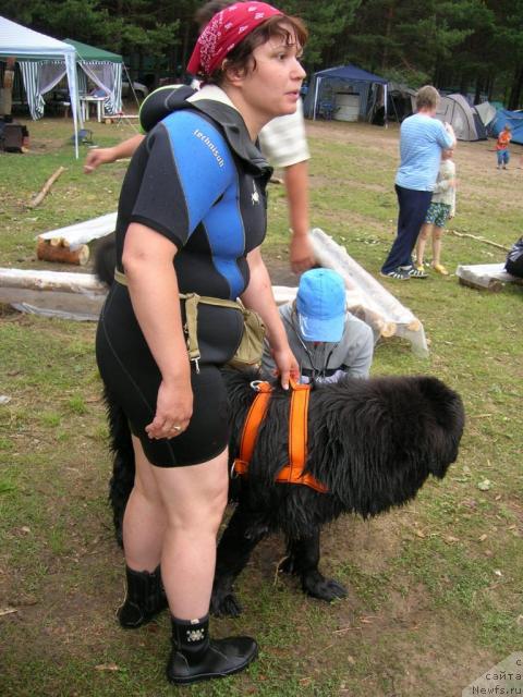 Фото: ньюфаундленд Atlant Byest (Атлант Бэст), Varvara Ryibalova (Варвара Рыбалова)