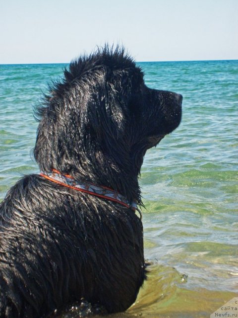 Фотография № 49969