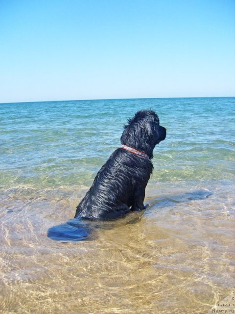 Фотография № 49970