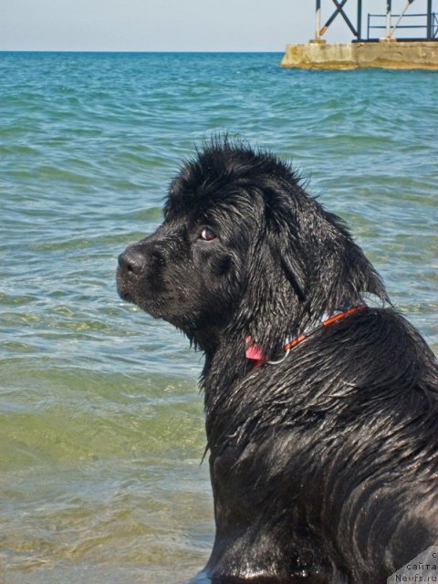 Фотография № 49971