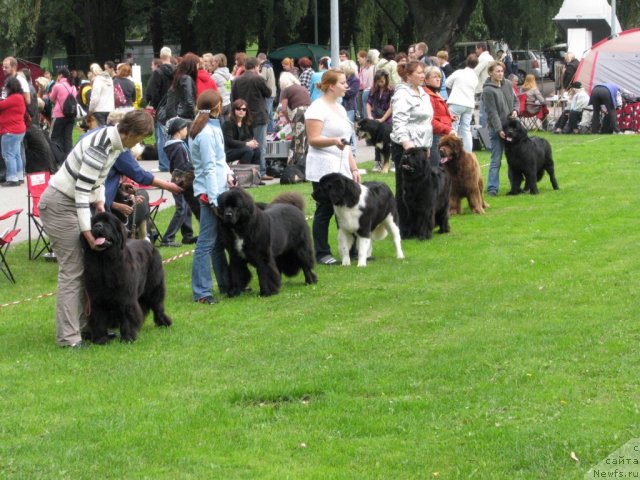 Фотография № 49973