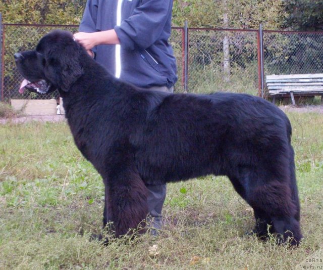 Фотография № 49983