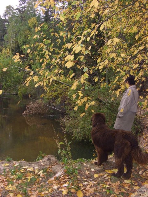 Фотография № 50005