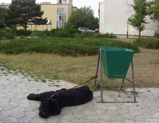 Фотография № 50015