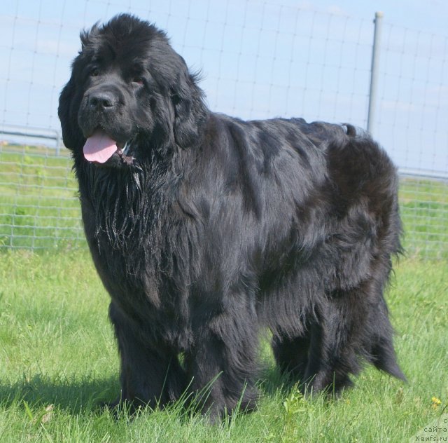 Фотография № 50080