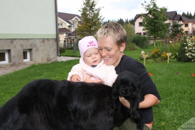 Фото: ньюфаундленд Sladkaya Moya ot Sibirskogo Medvedya (Сладкая Моя от Сибирского Медведя), Natal'ya YAryigina (Наталья Ярыгина), дочь Варя