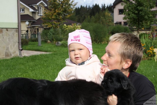 Фото: ньюфаундленд Sladkaya Moya ot Sibirskogo Medvedya (Сладкая Моя от Сибирского Медведя), Natal'ya YAryigina (Наталья Ярыгина), Варя
