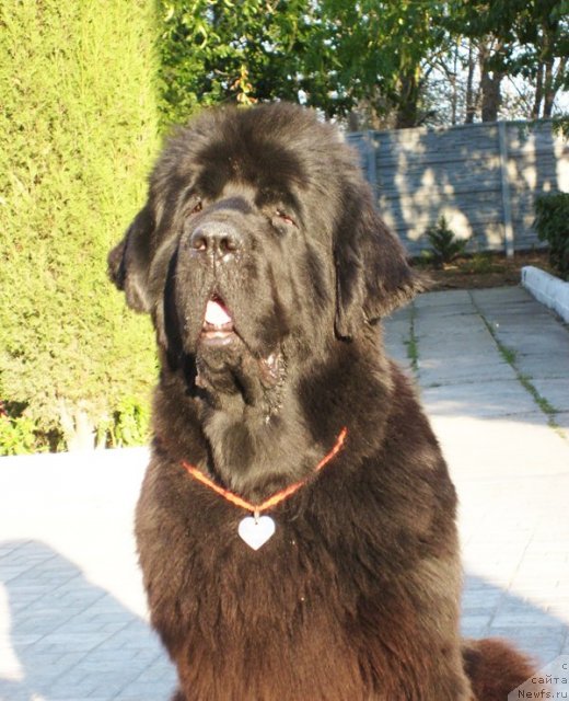 Фотография № 50127