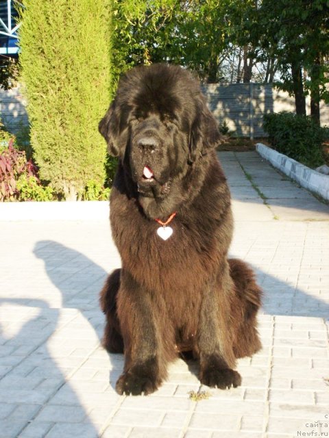 Фотография № 50128