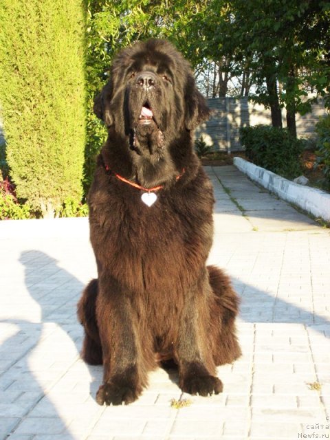 Фотография № 50129