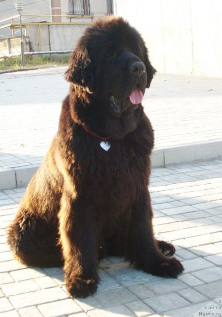 Фотография № 50130