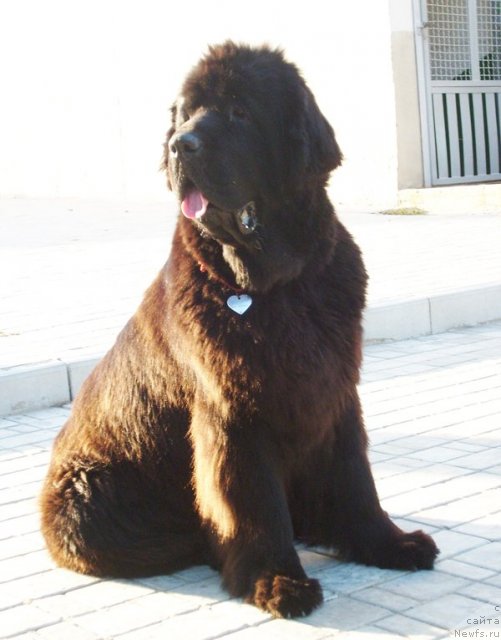 Фотография № 50132