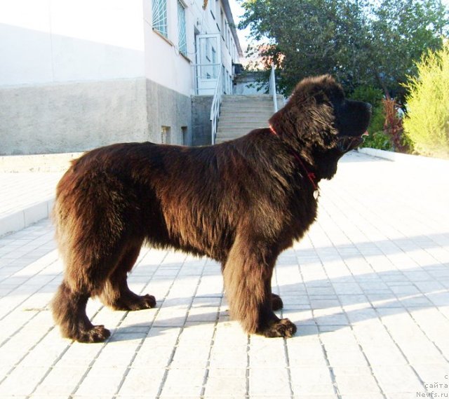 Фотография № 50133