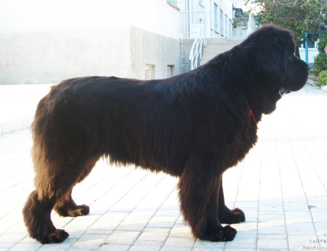 Фотография № 50134