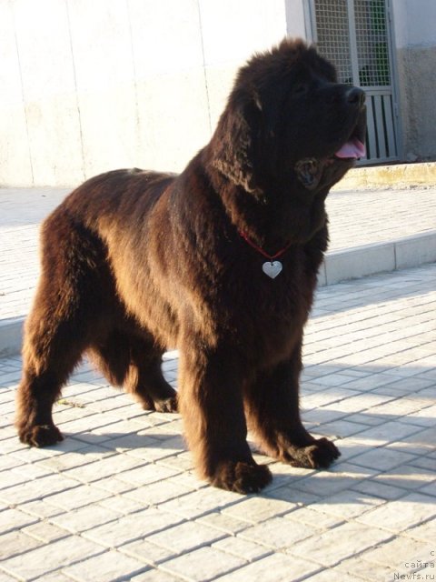 Фотография № 50135