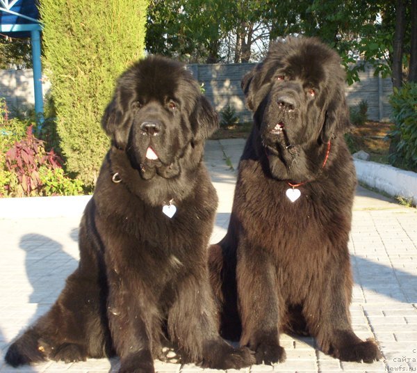 Фотография № 50136