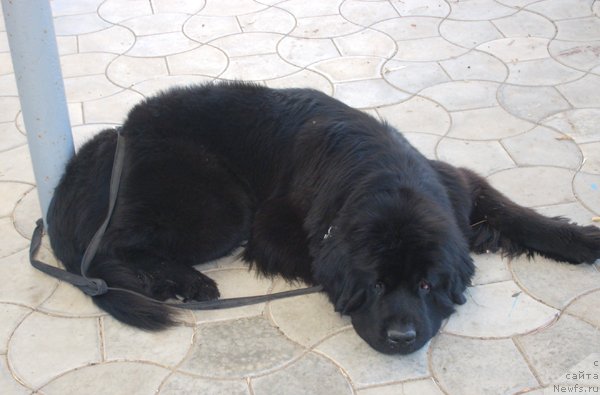 Фотография № 50137