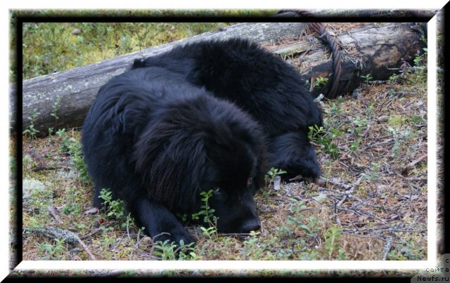 Фотография № 50140