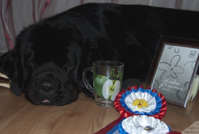 Фотография № 50142