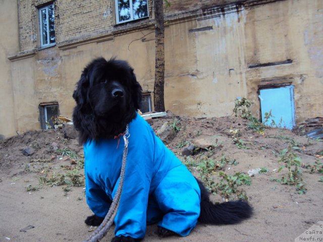 Фотография № 50146