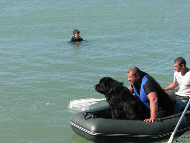 Фотография № 50218