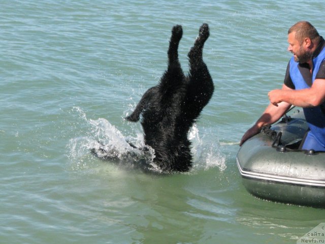 Фотография № 50221