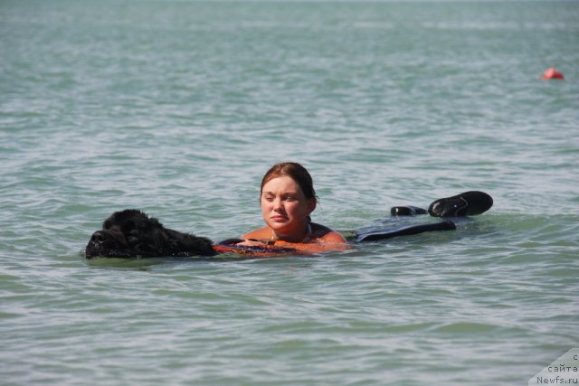 Фотография № 50235