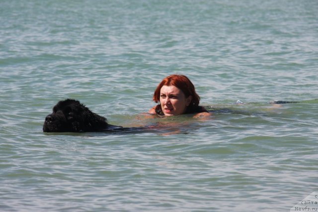 Фотография № 50236