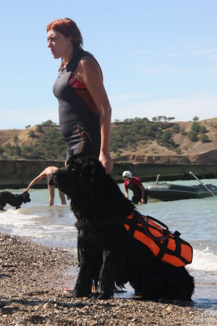 Фотография № 50237