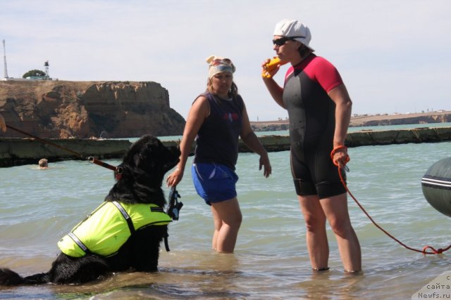 Фотография № 50238