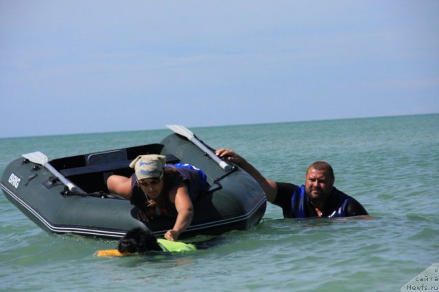 Фотография № 50239