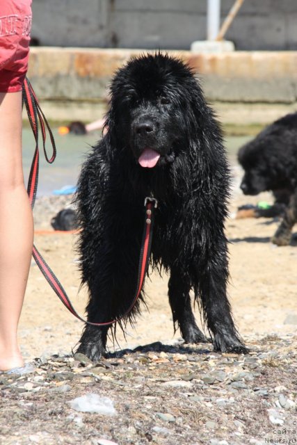 Фотография № 50240