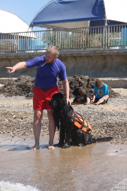 Фотография № 50244