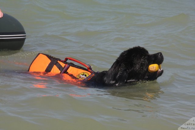 Фотография № 50245