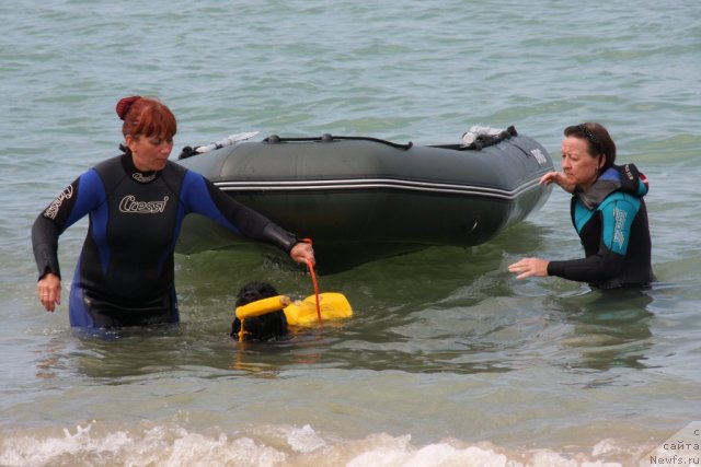 Фотография № 50246