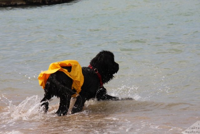 Фотография № 50247