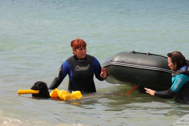 Фотография № 50248