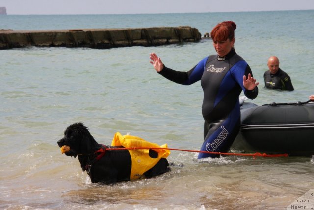 Фотография № 50249