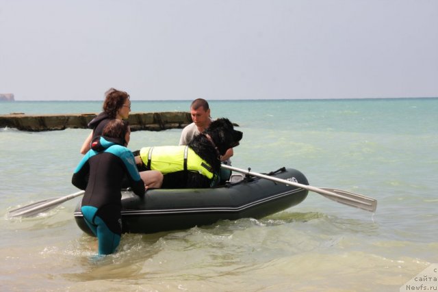 Фотография № 50250