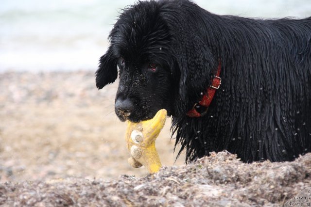 Фотография № 50251