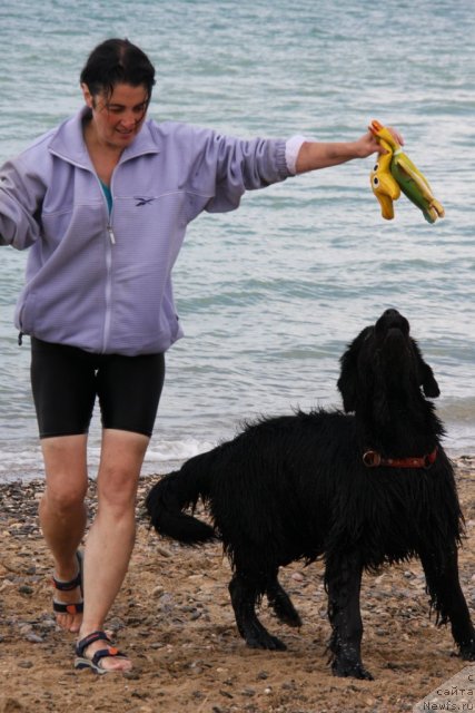 Фотография № 50252