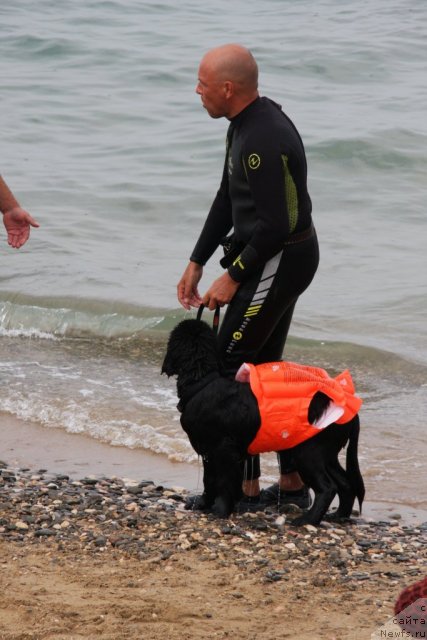 Фотография № 50253