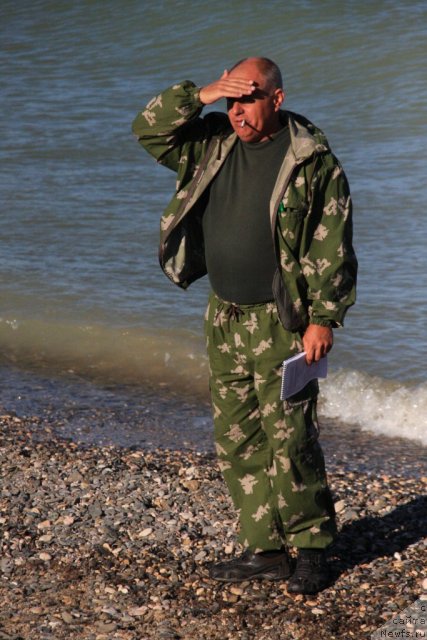 Фотография № 50255