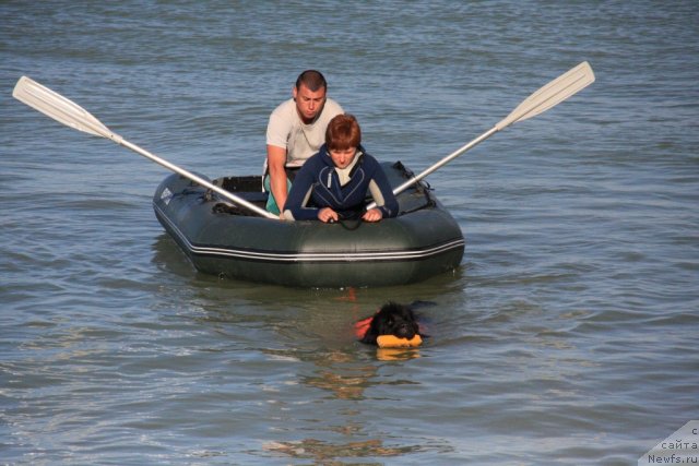 Фотография № 50256