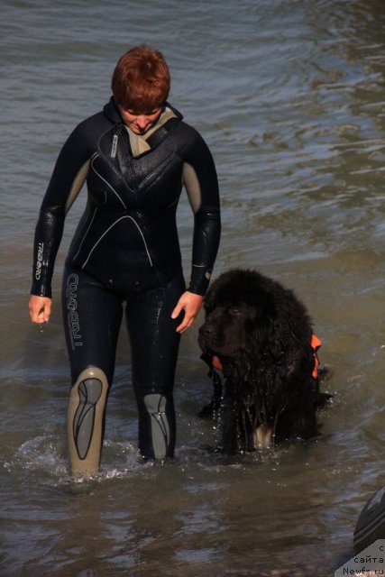 Фотография № 50257