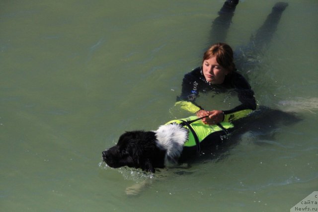 Фотография № 50258