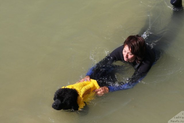 Фотография № 50260