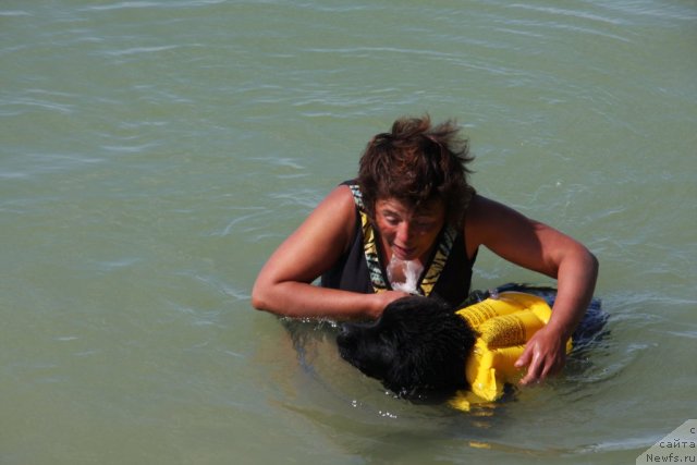 Фотография № 50263